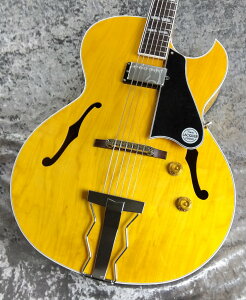TokaiyizFA320 with 1PU Vintage Natural s/n2450191y2.75kgzwith Hard Casey̐wOXz