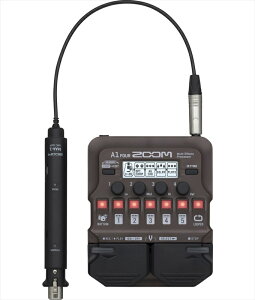 ZOOM A1 FOUR @̐wOX݌ɕi