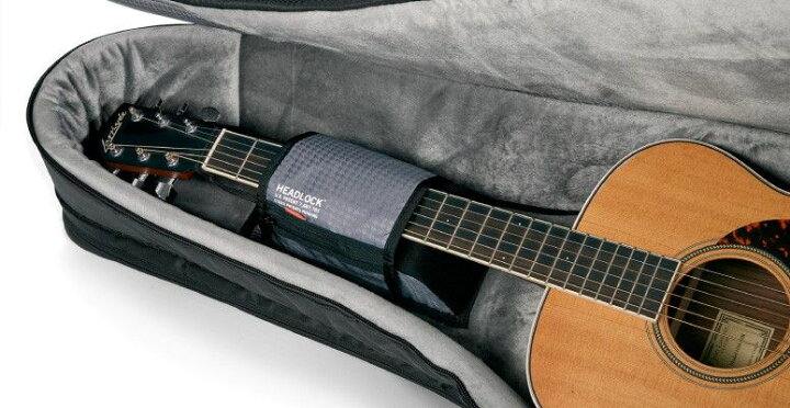 楽天市場】MONO CASE モノ M80 series Dual ACOUSTIC + Electric 