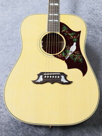 Gibson Dove Original #20734103【お茶の水駅前店】