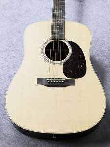 Martin D-16E Rosewood #2919264yLy[Ezy̐wOXz