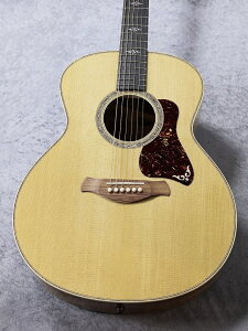 Taylor yVi / Xgbvv[g!zGold Label 814e Natural