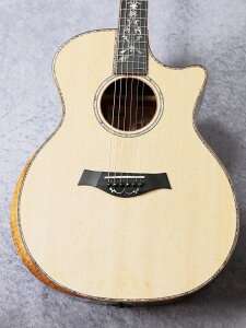 Taylory؍ޑI / t@Ng[I[_[zCTM GA Cocobolo × Bear Claw Spruce Top