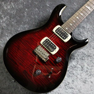 Paul Reed Smith(PRS) SE Custom 24 ~Fire Red Burst~ #CTIH078915 [3.43kg]�y�����̐��w�O�X�z