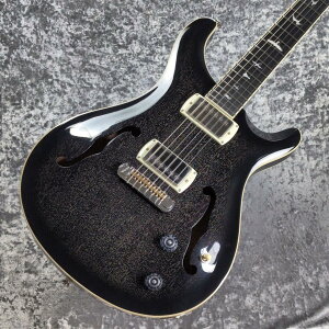 Paul Reed Smith(PRS) SE HOLLOWBODY STANDARD ~Dog Hair Smokeburst~ #CTI I04106 [2.67kg][2026�N��]�y�����̐��w�O�X�z