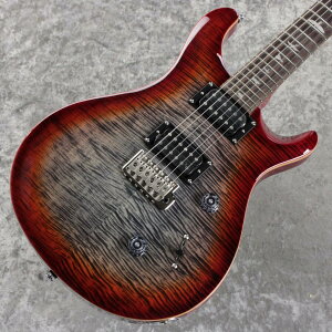 Paul Reed Smith(PRS) SE Custom 24 - CG ~Charcoal Cherry Burst~ #CTI H021083 [3.57kg][2025�N��]�y�����̐��w�O�X�z