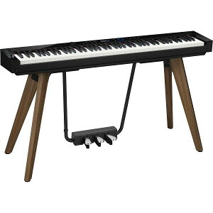 CASIO(JVI) PX-S7000BKyPriviazyvrAzyz
