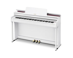 CASIO AP-550WEizCgEbhjyzݒugݗĖz