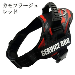  n[lXA^ n[lXAID^OJX^Ah~ ߖh~ʂAybgpցA TCY\ P nhtAȂ o ԔˁA_炩f 