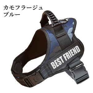  n[lXA^ n[lXAID^OJX^Ah~ ߖh~ʂAybgpցA TCY\ P nhtAȂ o ԔˁA_炩f 