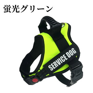  n[lXA^ n[lXAID^OJX^Ah~ ߖh~ʂAybgpցA TCY\ P nhtAȂ o ԔˁA_炩f 