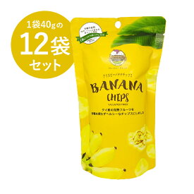 輸入元公式 WANALEE(ワナリー) フルーツチップス バナナ 40g×12袋セット バナナチップス 父の日 にオススメ!