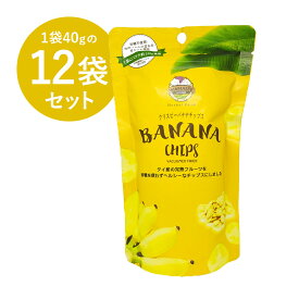 輸入元公式 WANALEE(ワナリー) フルーツチップス バナナ 40g×12袋セット バナナチップス 母の日 にオススメ!