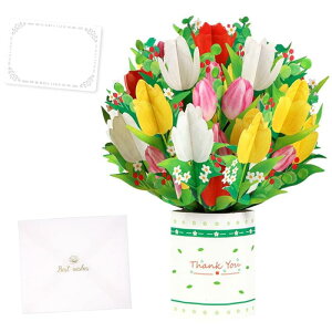 moin moin bZ[W J[h ~jJ[h + t KN ԑ  t[ { n[g 360x 3D яo j |bg  sN bh CG[ Best Wishes 2112me215