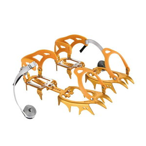 BRS A~jE y 14RAC[ XXObp[ AC[NC~O (S[f[(Golden))