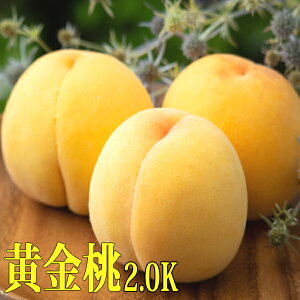 R  RY 2.0kg 6ʁ`8    p Mtg Gi