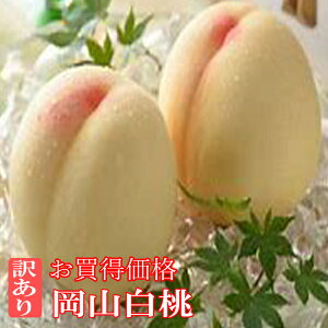 �y�N�[���֔����z���R���� �󂠂� 1.5kg ��4�ʁ`6�� ���R�� �󂠂蓍 ���ƒ�p �� �����󂠂� �ƒ�p����