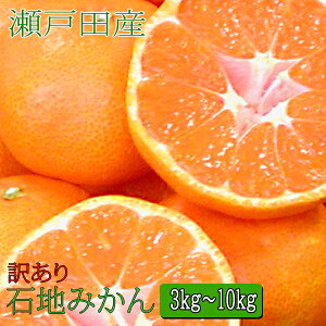 石地みかん 訳あり 3kg・5kg・10kg 家庭用 広島 瀬戸田産 いしじみかん みかん訳あり 瀬戸田みかん 家庭用みかん 訳ありみかん 送料無料みかん みかん送料無料