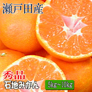 Βn݂ Gi 5kgE10kg L ˓cY ݂ Gi݂ p݂ k ˓cY݂ ݂ ݂