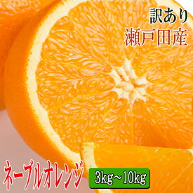 ネーブルオレンジ 訳あり 3kg・5kg・10kg 家庭用 広島 瀬戸田産 訳ありネーブル 家庭用 国産ネーブル ネーブル訳あり 送料無料
