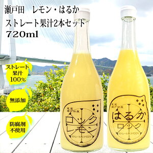ʏ` ͂邩W[X Xg[g100 720ml×2{Zbg ۑ Y L ˓cY