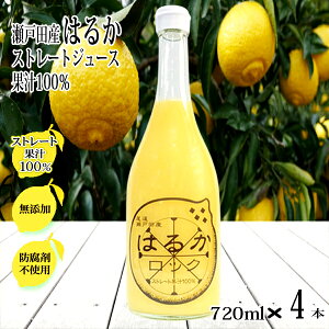 ͂邩W[X 720ml×4{ Xg[g 100% L ˓c Y ۑ Y XJbV VRʏ` ͂邩 L@ T[ Mtg  kW[X