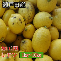 楽天市場】国産レモン 3kgの通販