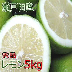  Y 5kg ˓ L ˓c Gi O[ m[bNX hܕsgp L@엿gp ʏ` Yʏ` nC VRʏ` T[
