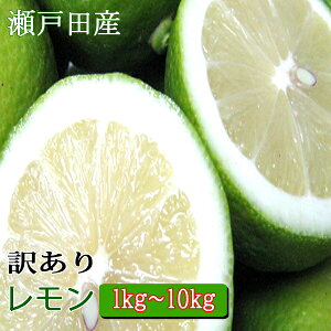  󂠂 Y 1kgE2kgE3kgE5kgE10kg m[bNX hܕsgp L@ _ Y ˓c ˓ 󂠂背 킯 O[ ƒp