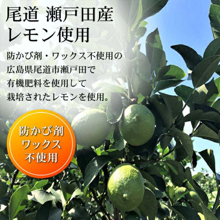 楽天市場】レモン 国産 10kg 瀬戸内レモン 広島 瀬戸田レモン 秀 