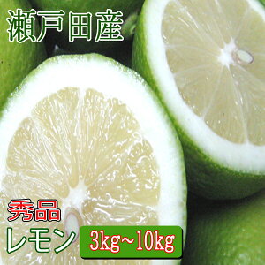  Y 3kgE5kgE10kg ˓ L ˓c Gi O[ m[bNX hܕsgp L@엿gp ʏ` Yʏ` nC VRʏ` T[