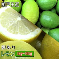 レモン 訳あり 1kg 2kg 3kg 5kg 10kg 国産レモン ノーワックス 防腐剤不使用 瀬戸田レモン ロックレモン …