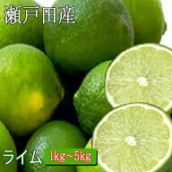 国産 ライム 1kg・2kg・3kg・5kg 広島 瀬戸内 瀬戸田産 ノーワックス 防腐剤不使用