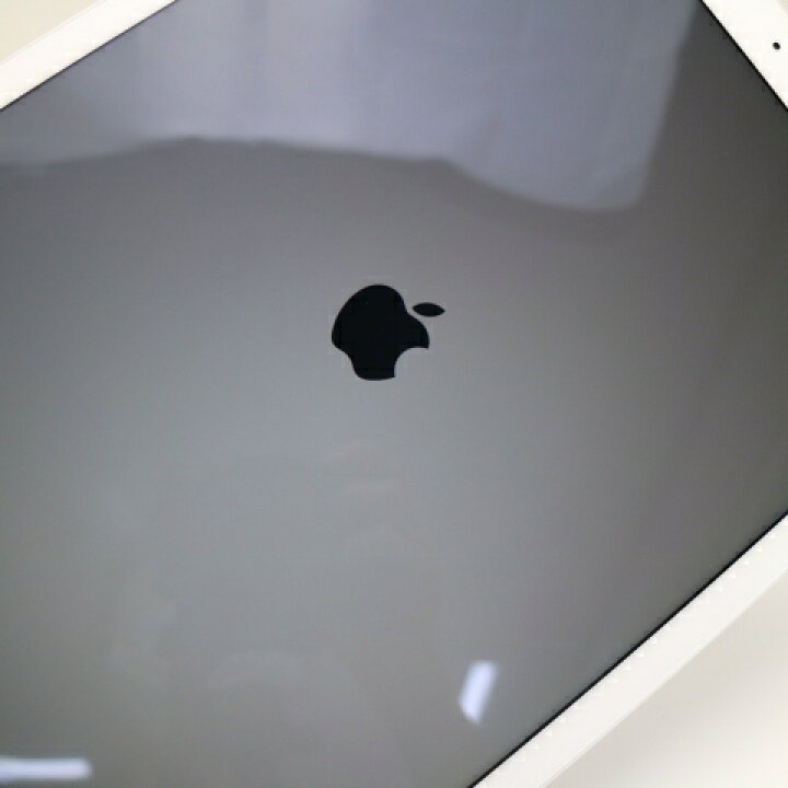 ストーブレイン專用【美品】 iPad Pro 12.9
