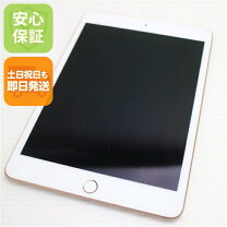 楽天市場】ipad mini5 64gb wi-fiの通販