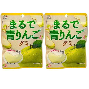 青りんご【2個セット・まるで青りんごグミ・送料無料】不二家 まるで青りんごグミ まるで 食品・飲料・酒食品菓子 梨グミ  まるでりんごグミ シャインマスカットボンボン 果汁のしず