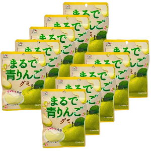 青りんご【10個セット・まるで青りんごグミ 】不二家 まるで青りんごグミ まるで 食品・飲料・酒食品菓子 梨グミ  まるでりんごグミ シャインマスカットボンボン 果汁のしずく マスカ