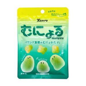 �y1�� �z�J�����@�ނɂ�� ����₩���Ԃǂ��\�[�_�� ���َq ���� �������� �܂�ł�񂲃O�~�@�V���C���}�X�J�b�g�{���{�� �ʏ`�̂����� �}�X�J�b�g�{���{�� �E�C�X�L�[�{���{��