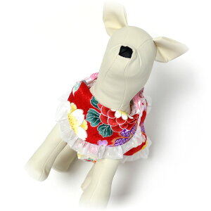 p FT ꒅ ANZT[ X^C { /`[///hbO/dog/O|//񂿂//j/a/FT/s///ڂ/srh