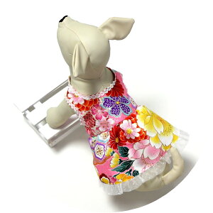 p FT ꒅGvhXSTCY/sNB{//hbO/dog/O|//񂿂//j/a/FT/s///ڂ/srh