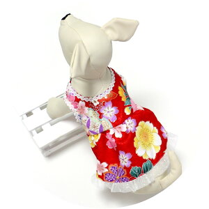 p FT ꒅGvhXSTCY/A{//hbO/dog/O|//񂿂//j/a/FT/s///ڂ/srh