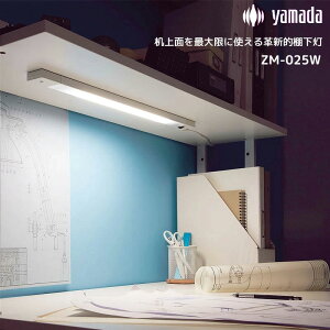 yN[|p1000~OFFzRcƖ ZCg Z-Light LEDfXNgbvCg LEDI Ɠ [bgCg Ɩ ドCg