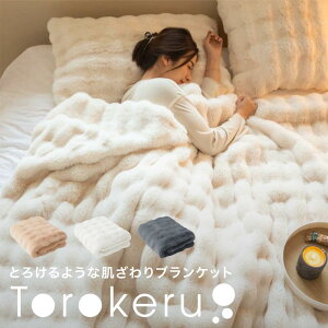 ySALEb45OFFzy2025VizӂƂѕz ѕz uPbg 160×100cm 唻 tl ѕz RR ƂƂ ӂӂ n[t ӂ ӂƂ Ђ| 􂦂 y ÓdCh