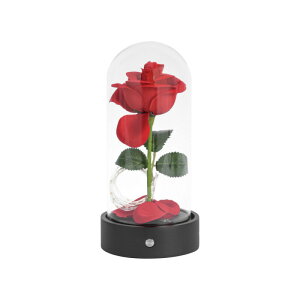 �s����A�����i�ł����t�� �o�� �K�N �C���e���A ���C�g LED���C�g ������� �n���E�B�� �M�t�g �����O�b�Y ���� ���� �����R�� �a���� �Q�� ���r���O �ԐڏƖ� �N���X�}�X �Ȃ肫�� �R�X�v��