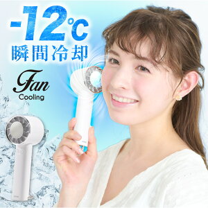 ySALE | 23%OFFzsuԗp-12tnfBt@ pv[gY É | 2025 p pv[gt pv[gt 莝@ 3iK 2000mAh nfB[t@ }CiX 12 [d