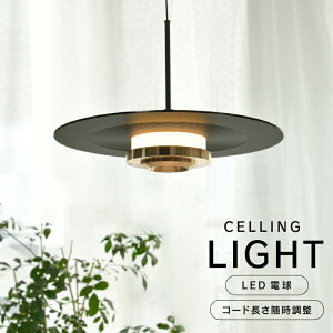 V[OCg ݂艺Cg Vv ~  1 LED R[h̒߉\ d dC ƖV Ɩ  ~ ߉ k  AeB[N g _ _Ng[rO 