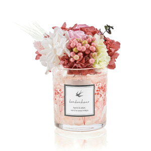 vU[uht[ 2025 ̓ Mtg a t[Mtg v[g  TNXu[P  җj CeA  KXP[X j 蕨 