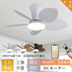 �y5�N�ۏ؁z�V�[�����O�t�@�����C�g LED 6�� 8�� ���^ �y�� DC���[�^�[ �V�[�����O�t�@�� �ؖڒ� �k�� �����R���t �X�}�z���� �������F �É� 6�i���� ���t��] �H���s�v �~�Č��p �T�[�L�����[