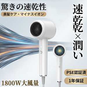 �h���C���[ �啗�� �É� �y�� ���� �}�C�i�X�C�I�� 1200W/1600W �w�A�h���C���[ �y�� 23m/s ���� �╗ 3�i�K���� �M�ی� �Ód�C���� �ᑛ�� �P�� �ȃG�l �����h���C���[ �������P ���s �l�C ���� ��