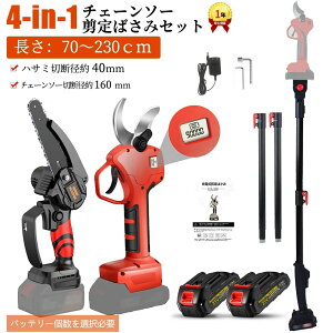 電動高枝切りバサミ 充電式」の人気商品一覧・価格比較 - 価格.com